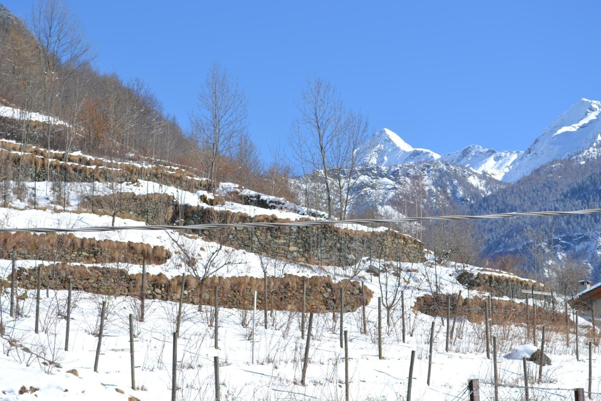 Casa Vacanza La Rocca Chiesa in Valmalenco Exterior photo